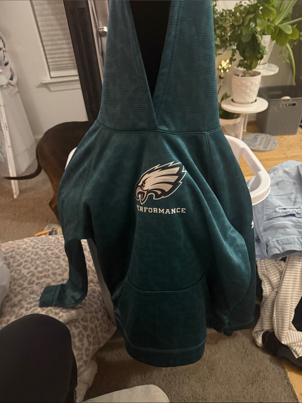 Philadelphia Eagles hoodie XLY